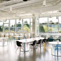 Foto di Dapper Labs in tema di: The Den